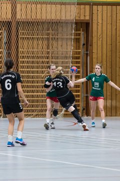 Bild 230 - Damen HSG Kremperheide/M�nsterdorf - Suchsdorfer SV : Ergebnis: 39:22